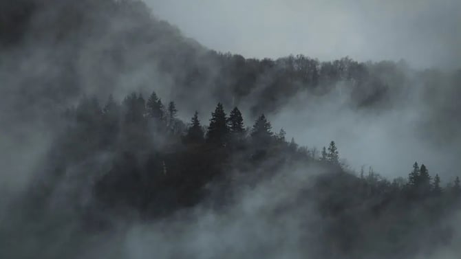 The Black Hills in October: Ultimate Fall Vacation