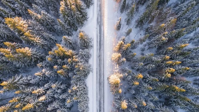 The Black Hills in February: Ultimate Winter Vacation