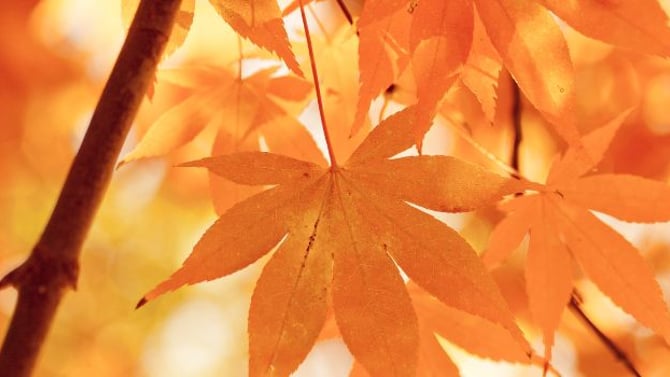The Black Hills in September: Ultimate Fall Vacation