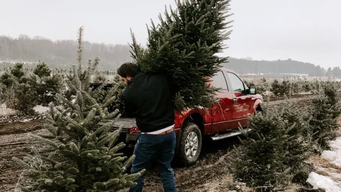 The Black Hills in December: Ultimate Winter Vacation